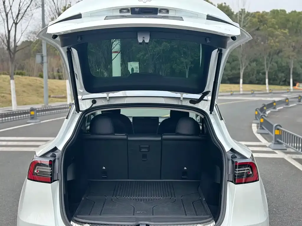 Tesla Model Y 2021 из CN, фото 8