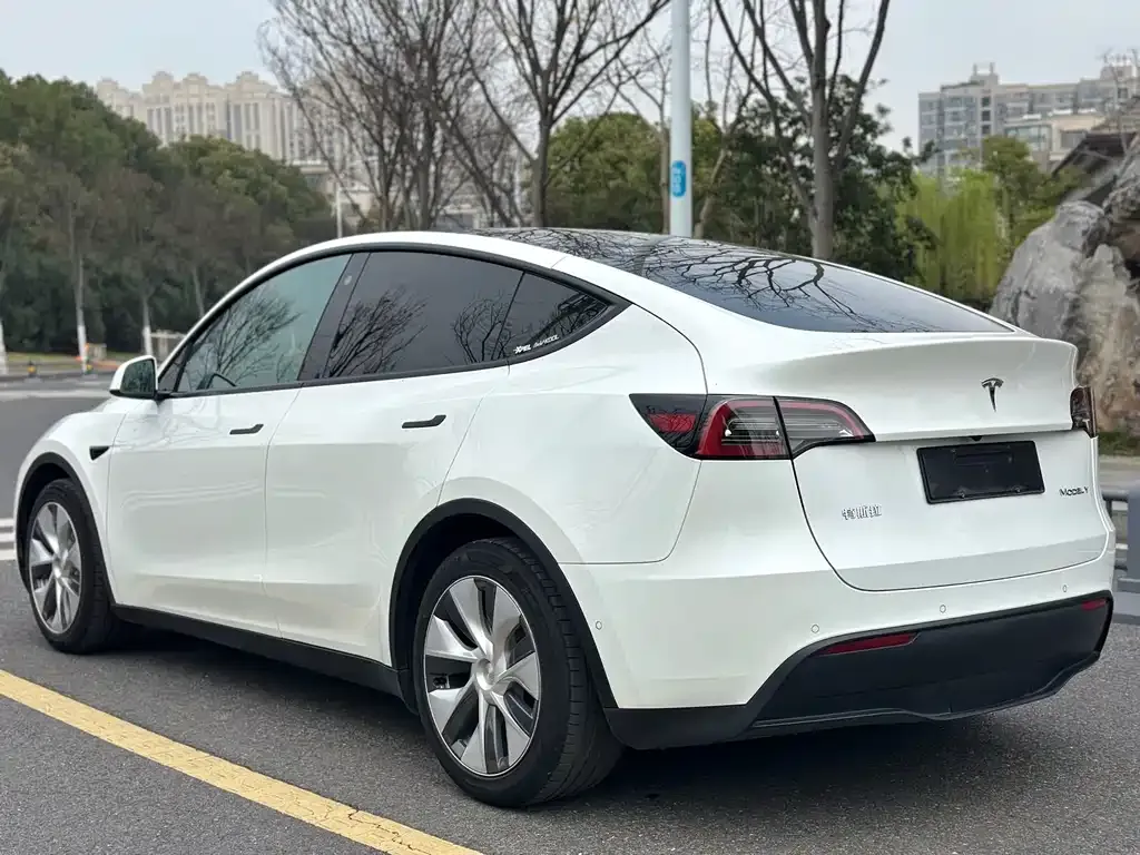 Tesla Model Y 2021 из CN, фото 10