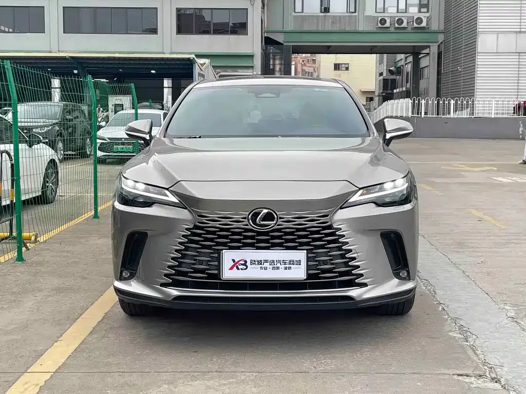 Lexus RX 2023 из CN, фото 10