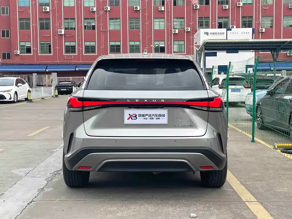 Lexus RX 2023 из CN, фото 6