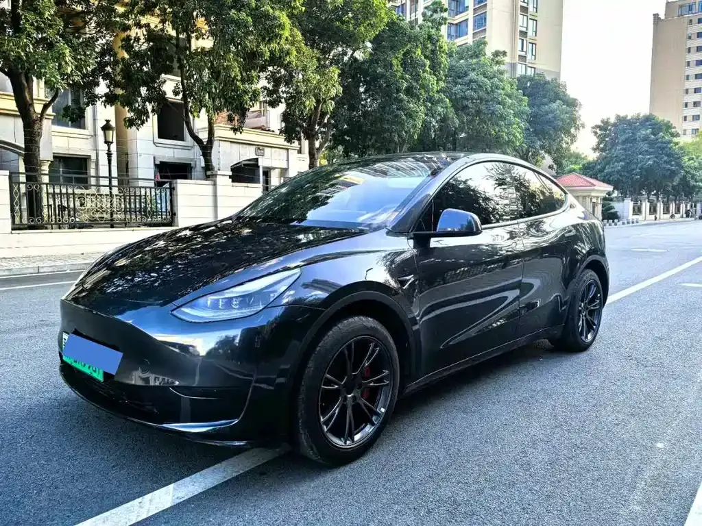 Tesla Model Y — фото 1