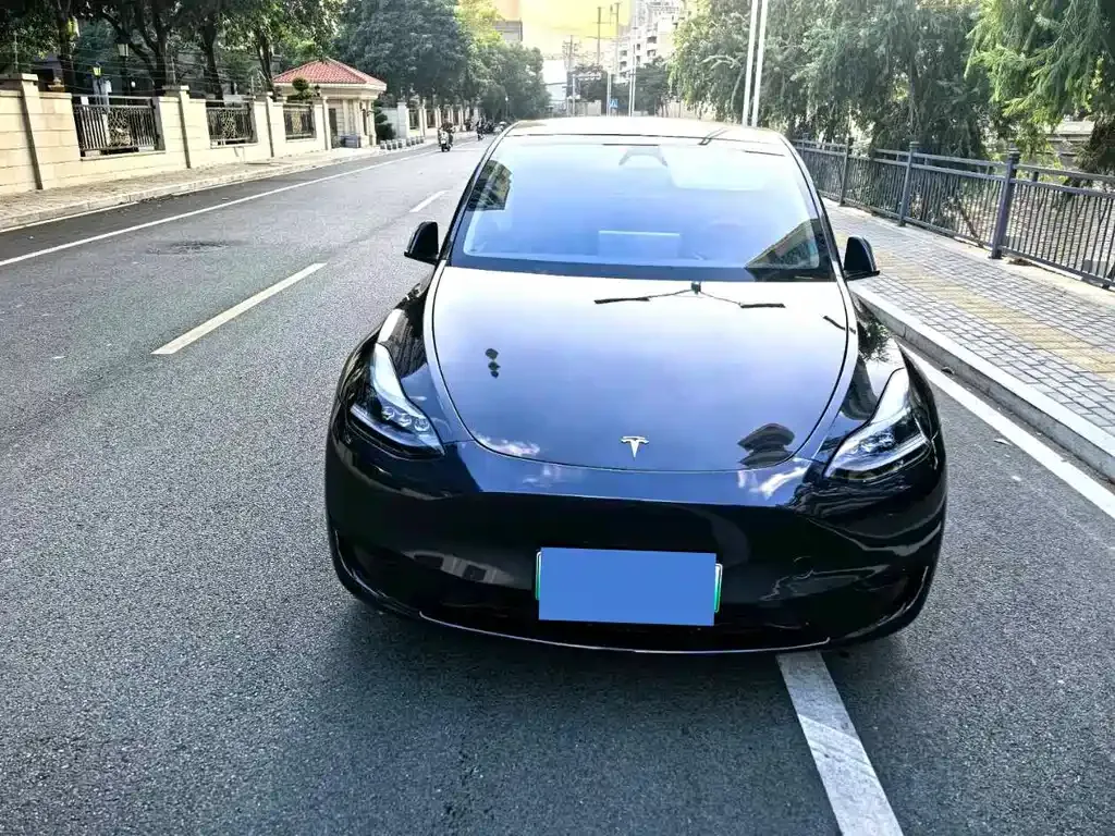 Tesla Model Y — фото 7