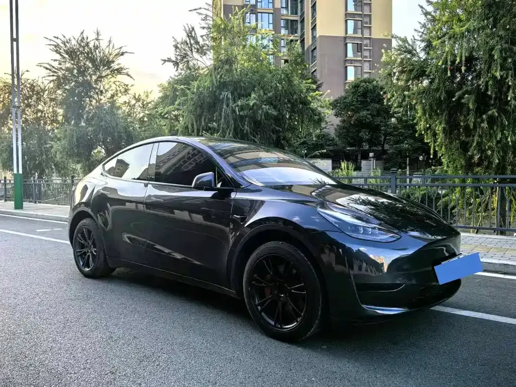 Tesla Model Y — фото 6