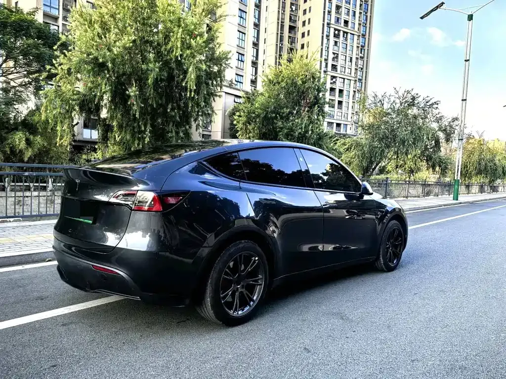 Tesla Model Y — фото 8