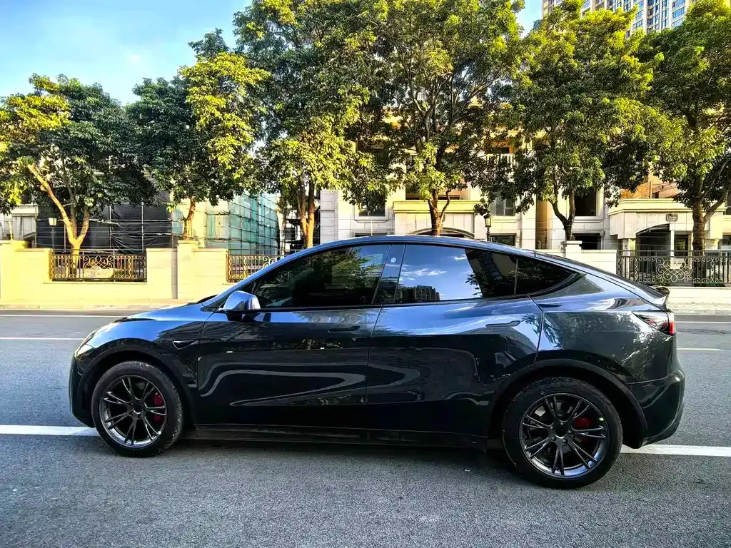 Tesla Model Y — фото 10