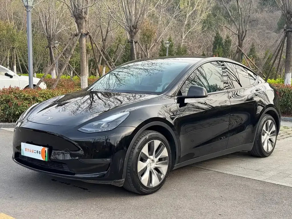 Tesla Model Y — фото 1