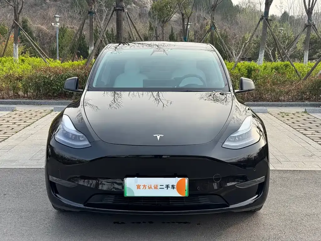 Tesla Model Y — фото 5
