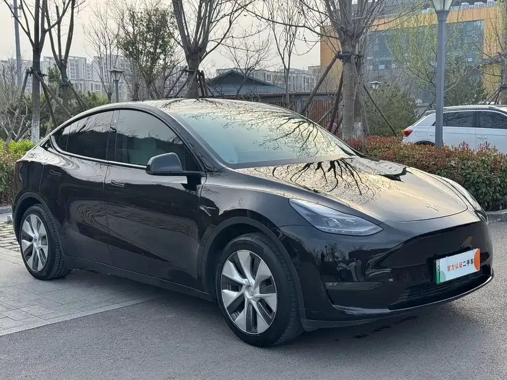 Tesla Model Y — фото 3