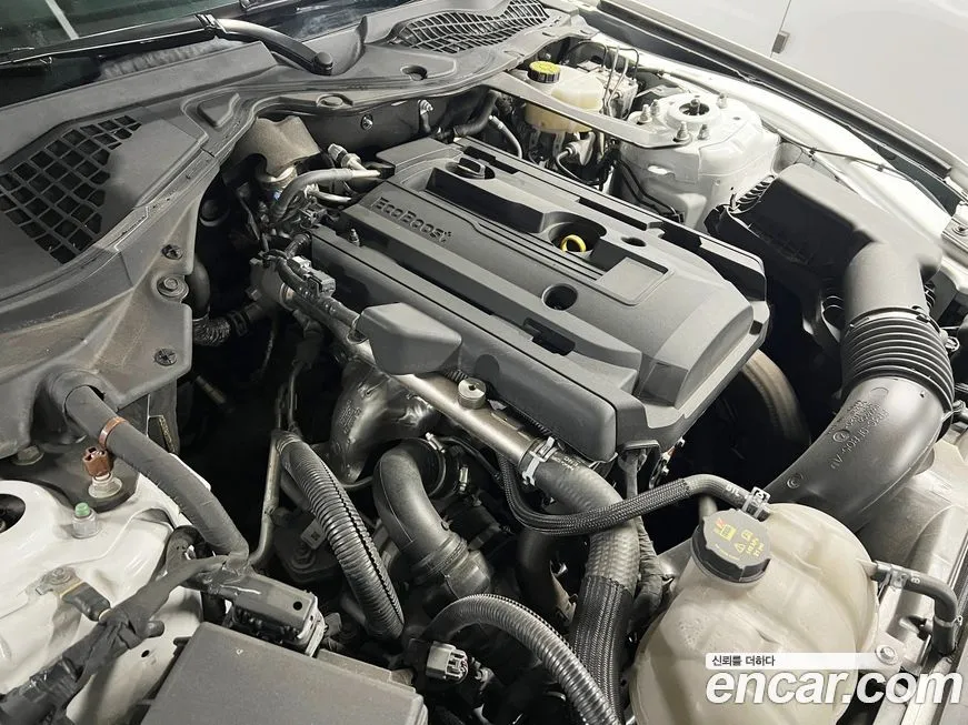 Ford Mustang 2023 из KR, фото 8