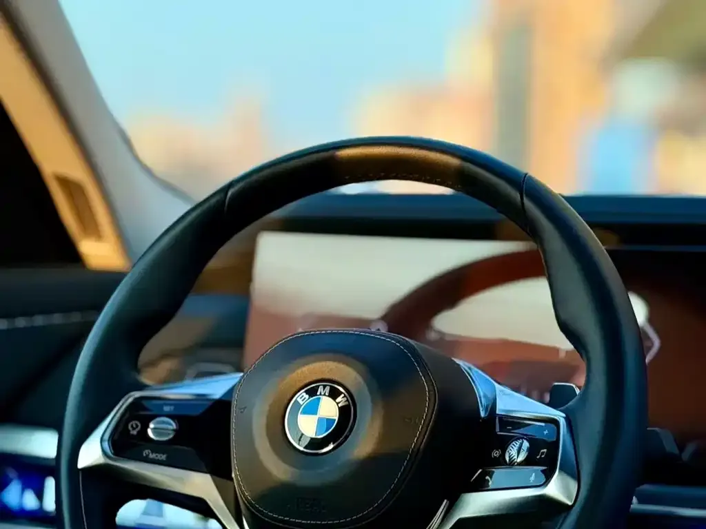 BMW 7 Series 2024 из CN, фото 10