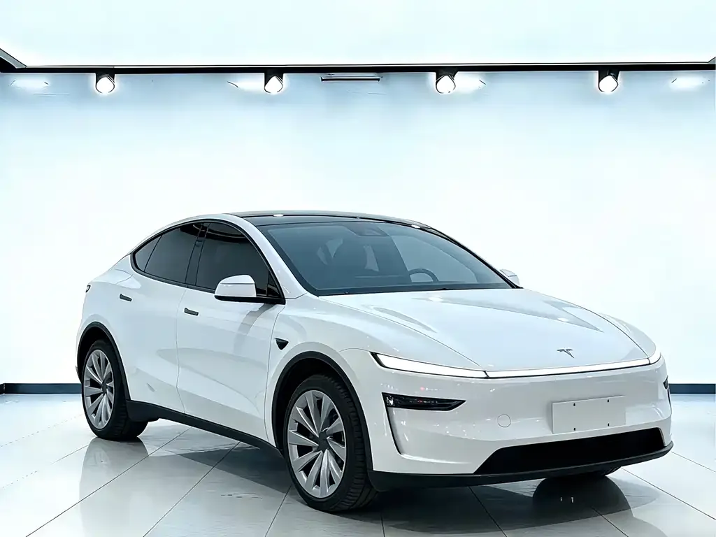 Tesla Model Y — фото 10