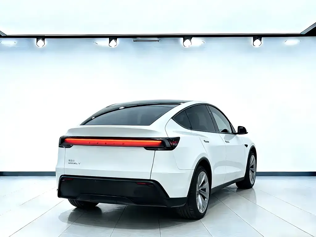 Tesla Model Y — фото 5