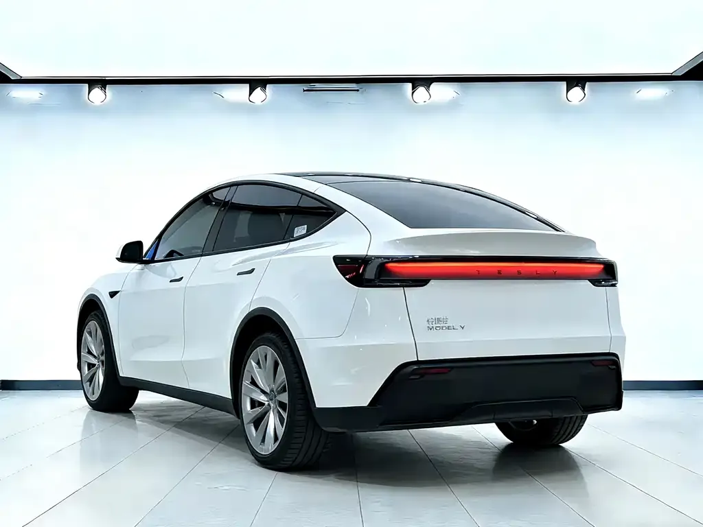 Tesla Model Y — фото 4