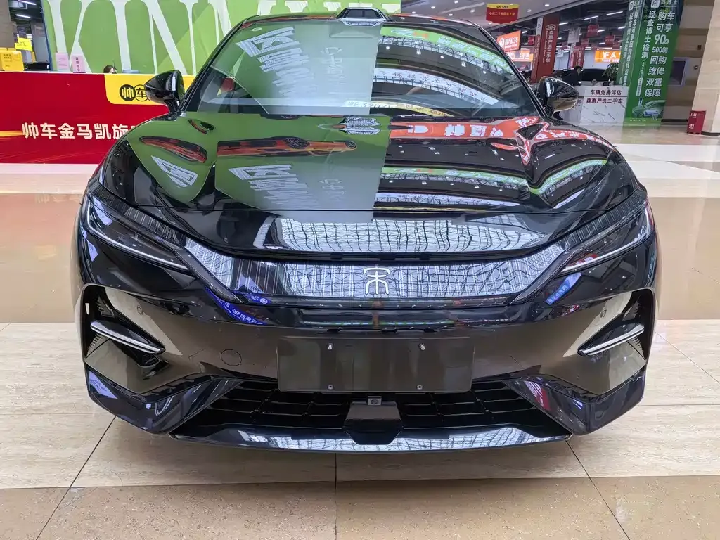 BYD L EV 2025 из CN, фото 2
