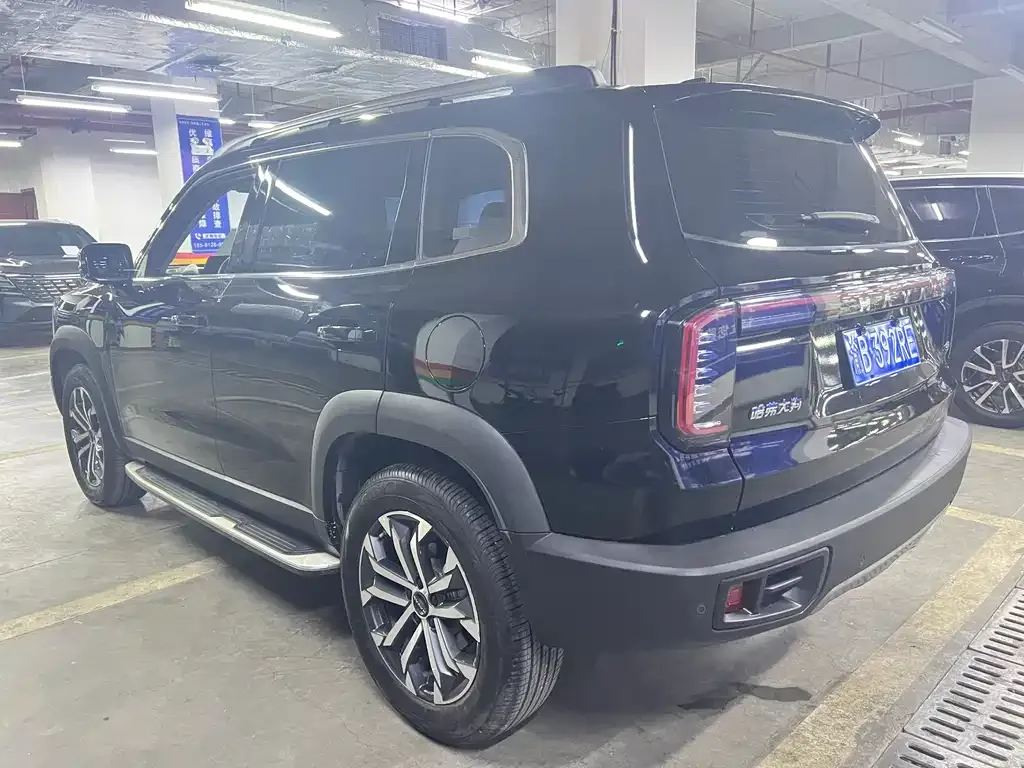 Haval Big Dog 2025 из CN, фото 4