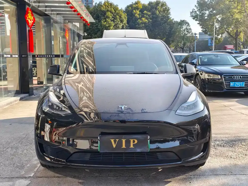 Tesla Model Y — фото 9