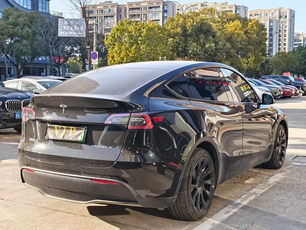 Tesla Model Y — фото 4