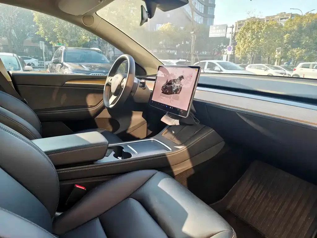 Tesla Model Y — фото 3