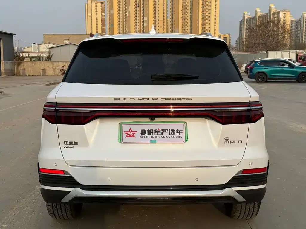 BYD Pro New Energy — фото 10