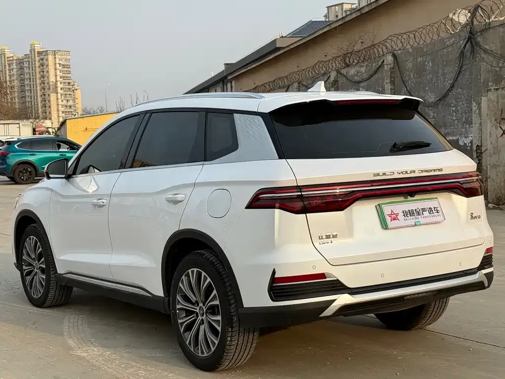 BYD Pro New Energy — фото 9