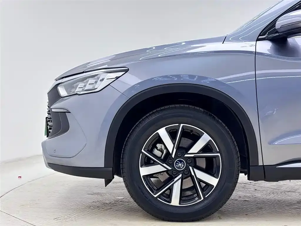 BYD Pro New Energy — фото 9