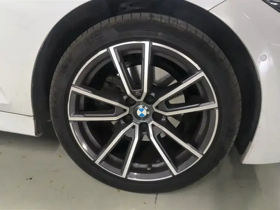 BMW 3 Series 2023 из CN, фото 8