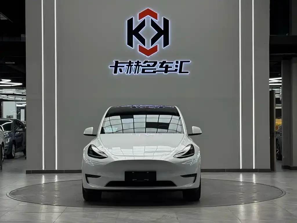 Tesla Model Y — фото 6