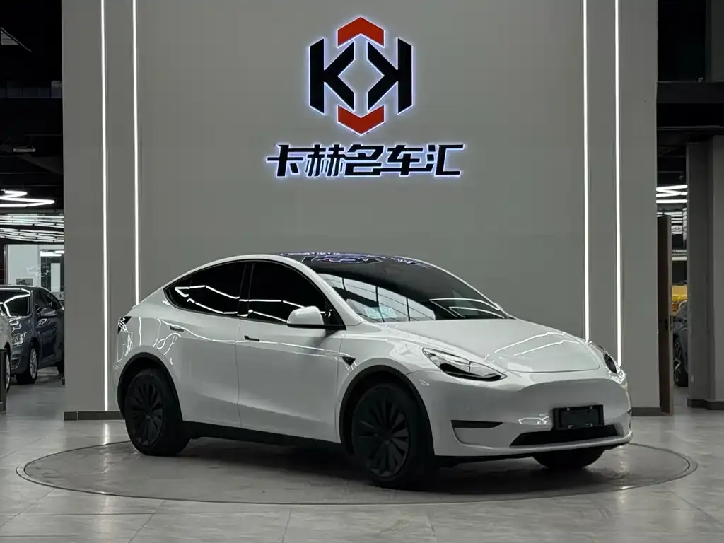 Tesla Model Y — фото 5