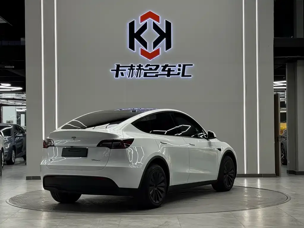 Tesla Model Y — фото 9