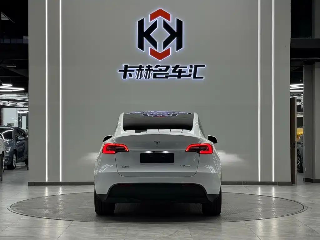 Tesla Model Y — фото 7