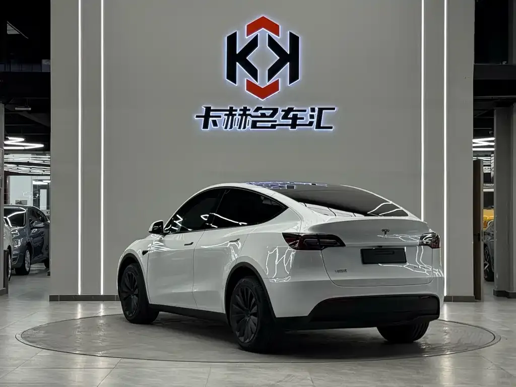 Tesla Model Y — фото 10