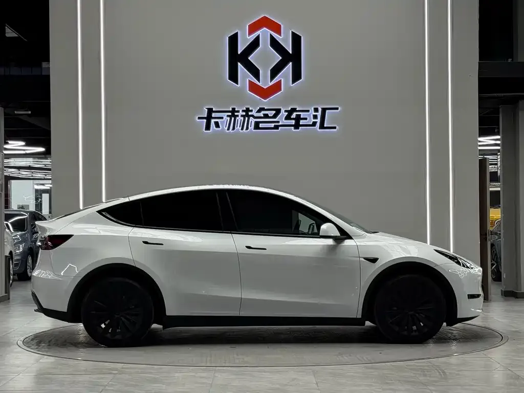 Tesla Model Y — фото 3