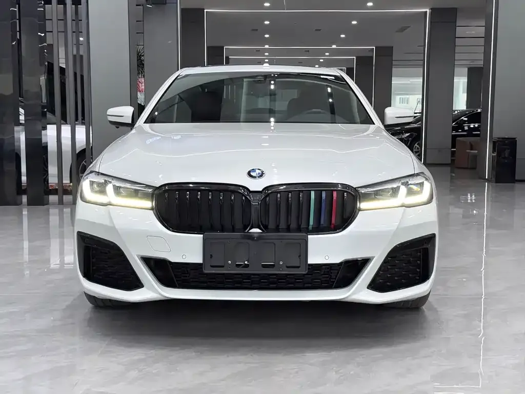 BMW 5 Series 2021 из CN, фото 2