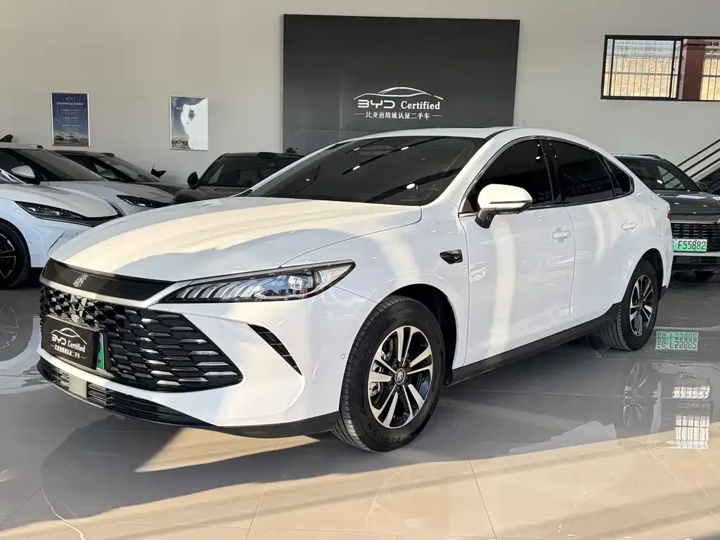 BYD Qin PLUS — фото 1