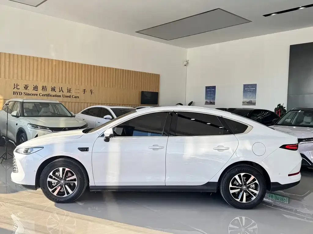 BYD Qin PLUS — фото 2