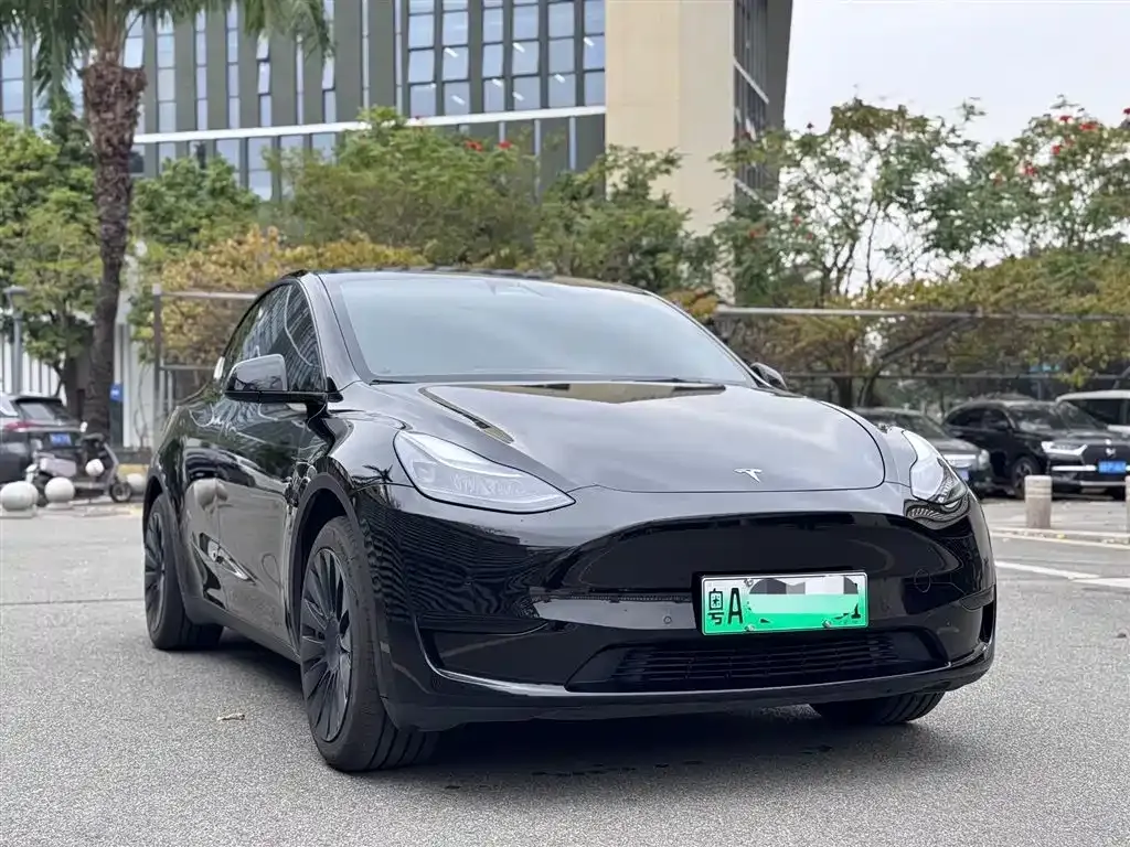 Tesla Model Y 2023 из CN, фото 5