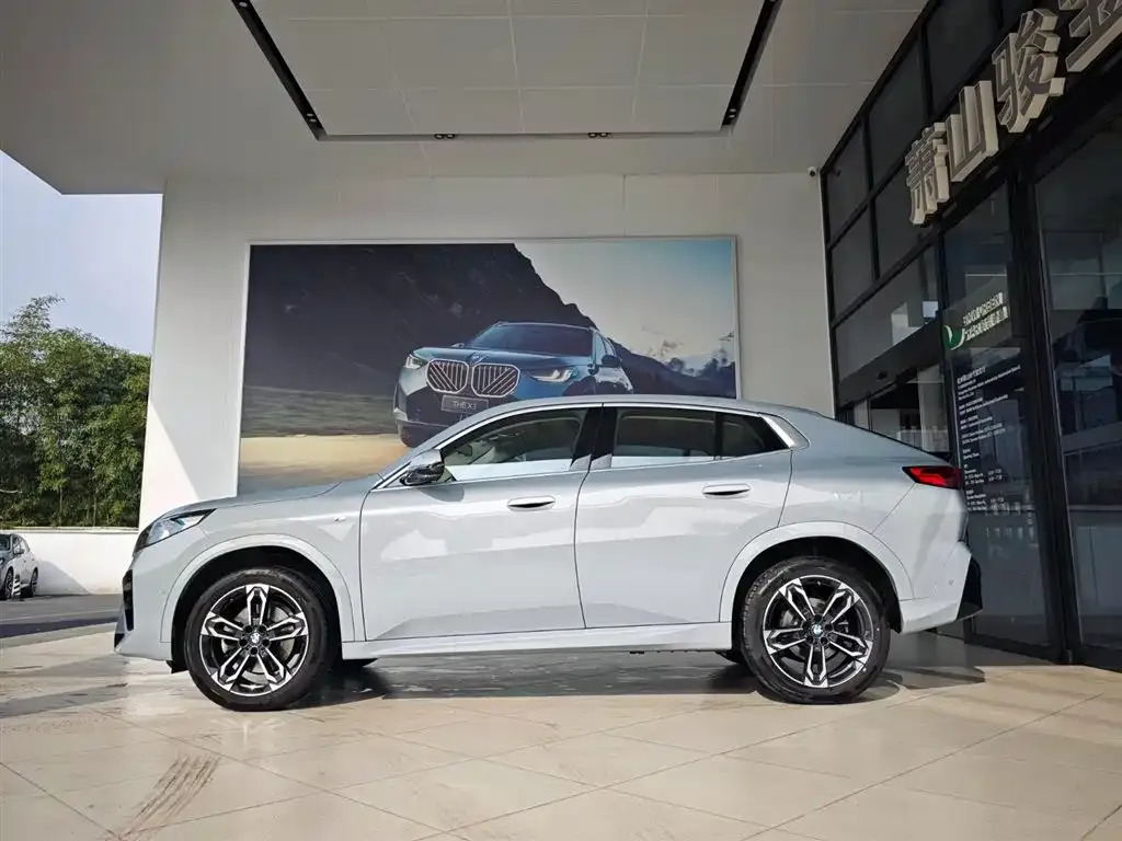 BMW X2 (Import) 2024 из CN, фото 5