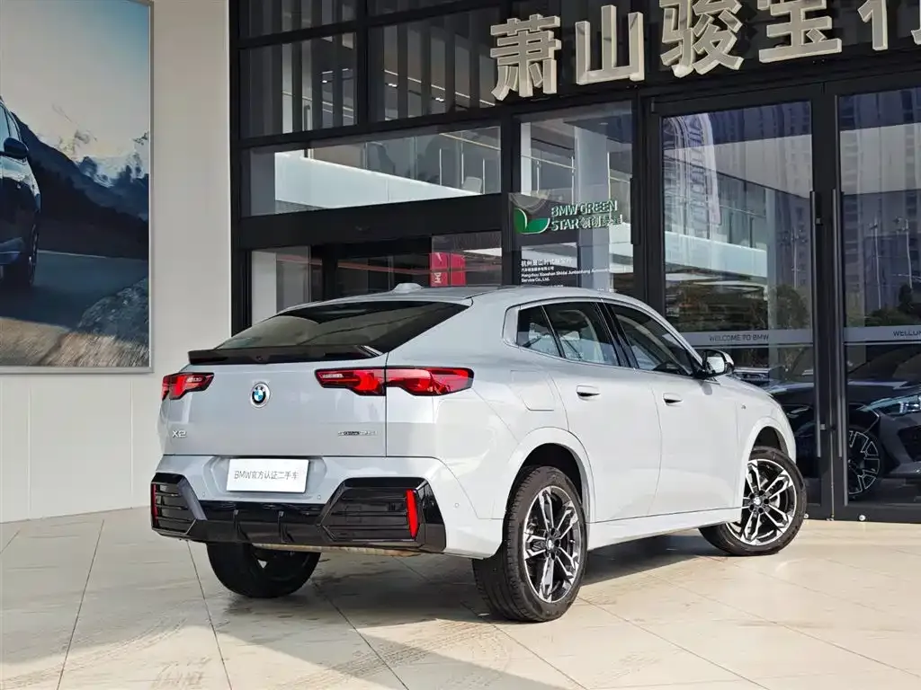 BMW X2 (Import) 2024 из CN, фото 7