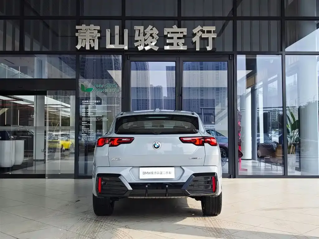 BMW X2 (Import) 2024 из CN, фото 6