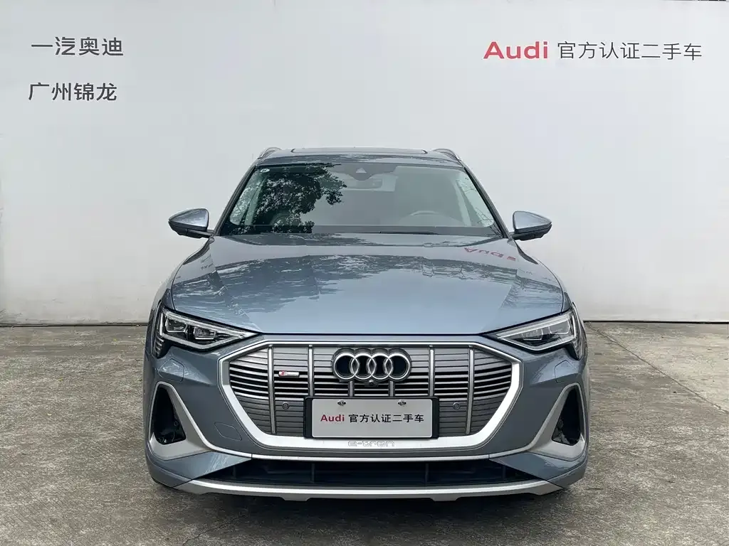 Audi e-tron — фото 9