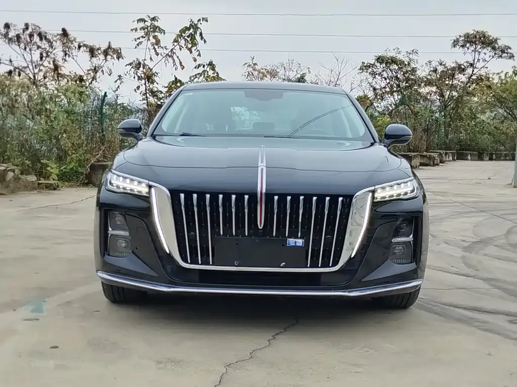 Hongqi H5 2023 из CN, фото 5