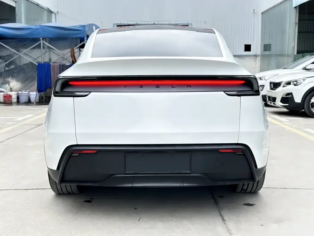 Tesla Model Y 2025 из CN, фото 2