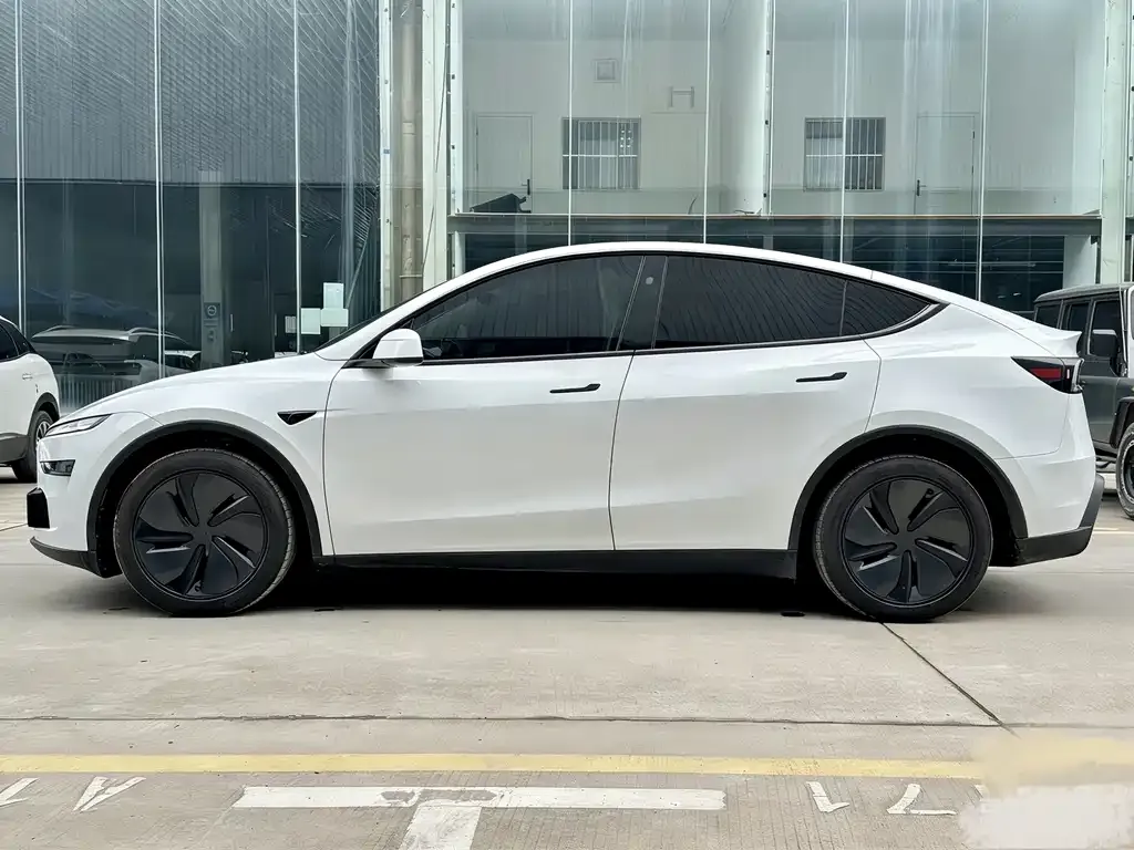 Tesla Model Y 2025 из CN, фото 6