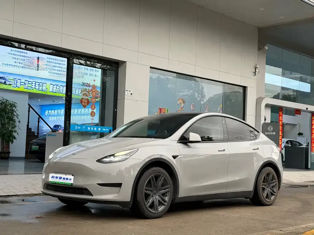 Tesla Model Y — фото 1