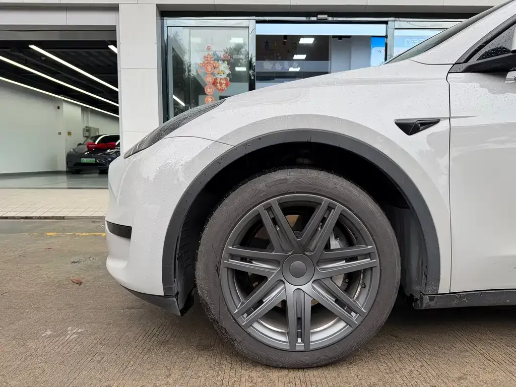 Tesla Model Y — фото 2