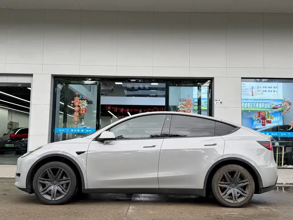Tesla Model Y — фото 10