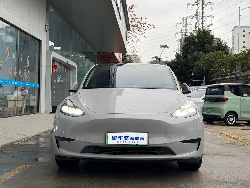 Tesla Model Y — фото 7