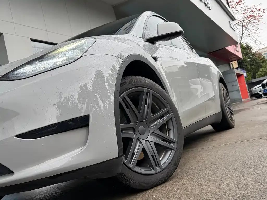 Tesla Model Y — фото 4