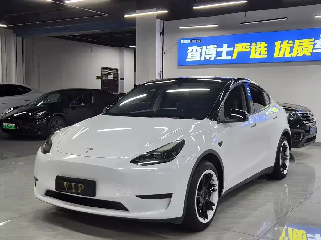 Tesla Model Y — фото 1