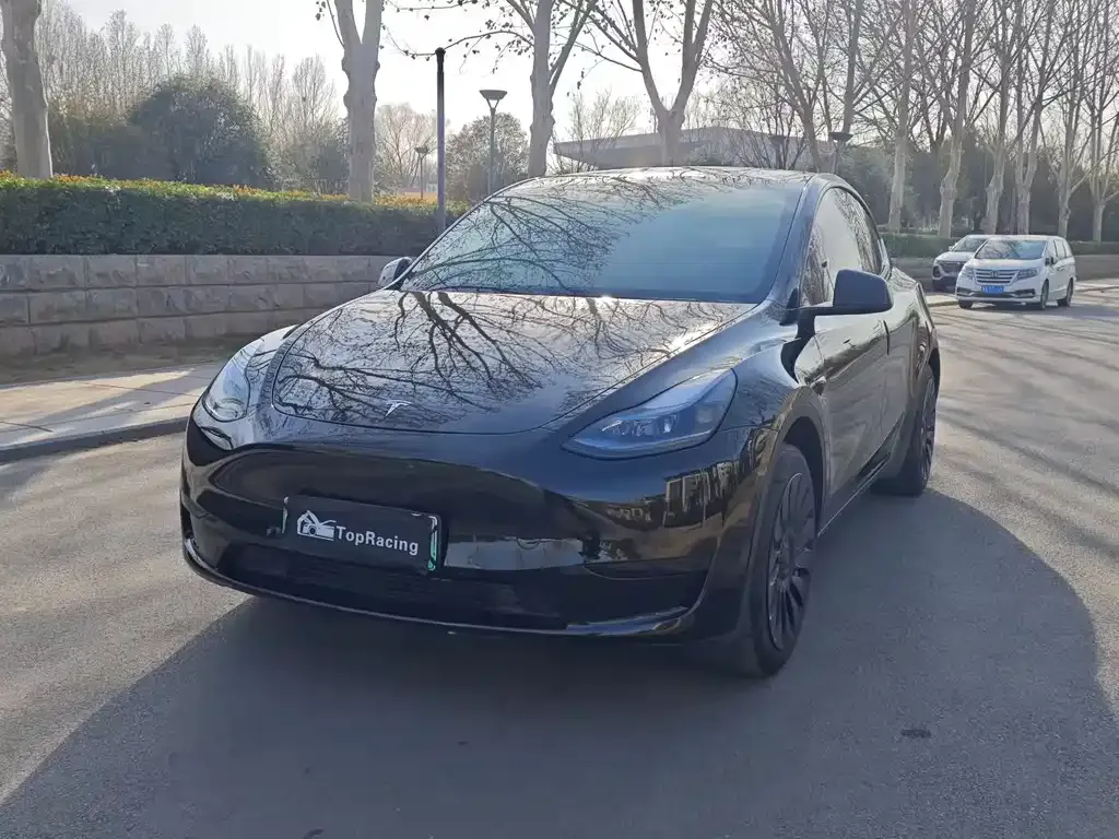 Tesla Model Y — фото 1